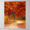 Search for falls posters Home