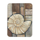 Search for shelled magnets Snail