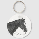 Search for black stallion Riding