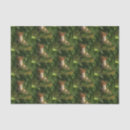 Search for animal pattern photography Wildlife