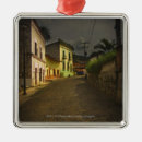 Search for the villager christmas tree decorations House