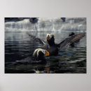 Search for state bird posters Alaska