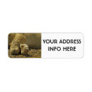 Search for lions return address labels Predator