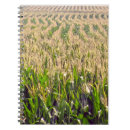 Search for corn the notebooks Agriculture