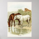 Search for vintage horse posters Country
