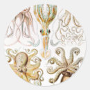 Search for animal science stickers Ernst haeckel