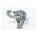 Search for white snow leopard posters Animals