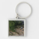 Search for central key rings Horizontal
