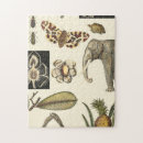 Search for animal puzzles Fish