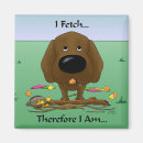 Search for chocolate lab magnets Labs