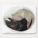 Search for cute rat mousepads Baby