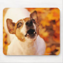 Search for barking mousepads Dog