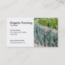 Search for organic business cards Green