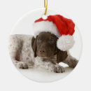 Search for german shorthaired pointer christmas tree decorations Animal