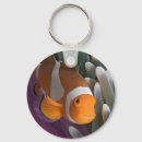 Search for clowns rounded key rings Clownfish