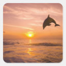 Search for carefree stickers Jumping