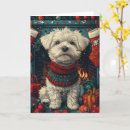 Search for maltese dog christmas cards Pet