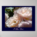 Search for soft rose art Roses