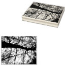 Search for photo rubber stamps Nature