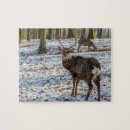Search for deer antlers puzzles Woods