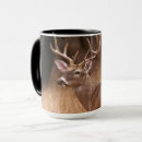 Search for white tail deer mugs Wildlife