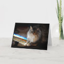 Search for notes pet supplies Sympathy