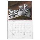 Search for graduation calendars Congratulations