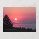 Search for tree photo postcards Sunset