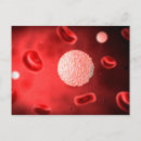 Search for cells postcards Immune system