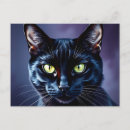 Search for black eye postcards Feline