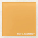 Search for chinese coasters Yellow