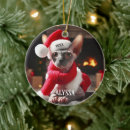 Search for sphynx cat christmas tree decorations Cute