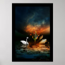 Search for swimming swan posters Pond