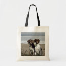 Search for to pointer bags Pointers