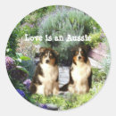 Search for herding dog stickers Aussie