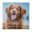 Search for in loving memory tiles Remembrance
