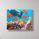 Search for mermaid canvas prints Fantasy