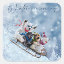 Search for sled dog stickers Snow