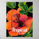Search for hibiscus flower posters Inspirational
