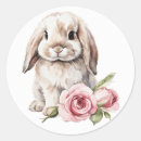 Search for rabbit ears stickers Bunny