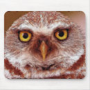 Search for wise mousepads Animal