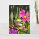 Search for toad birthday cards Frog