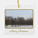 Search for row christmas tree decorations Nature
