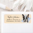 Search for boston return address labels Dog