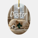 Search for best dog dad christmas tree decorations For pets