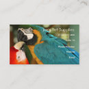 Search for macaws business cards Amazon