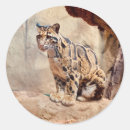 Search for leopard spot stickers Exotic