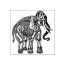 Search for bones rubber stamps Scary