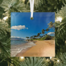 Search for beach glass christmas tree decorations Hawaii