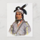 Search for native bird postcards Charles